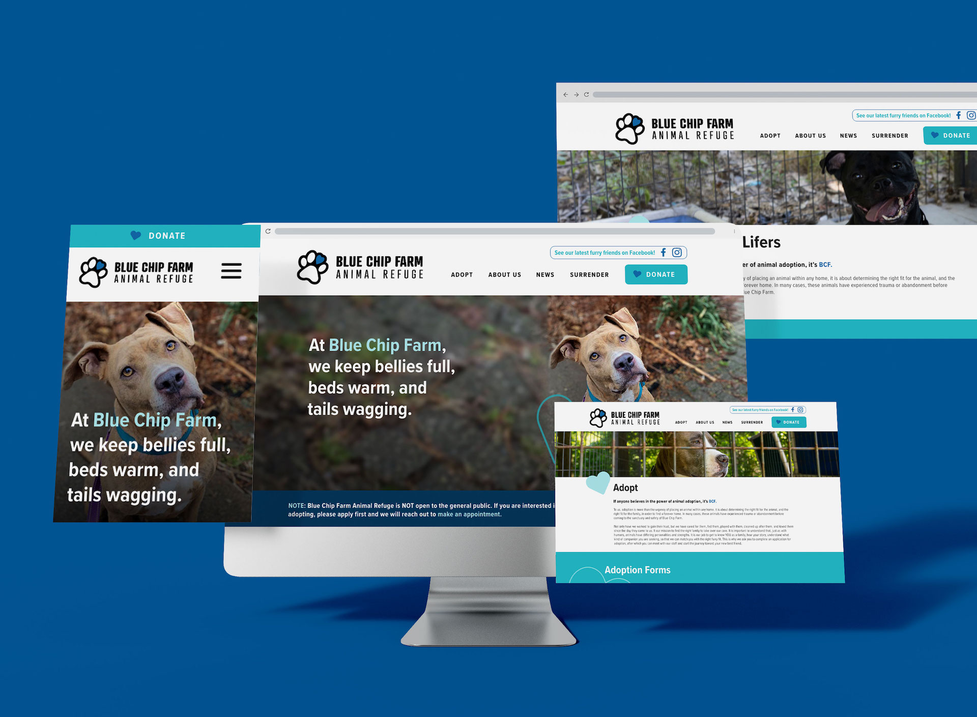 Blue Chip Farm Animal Refuge Posture Interactive